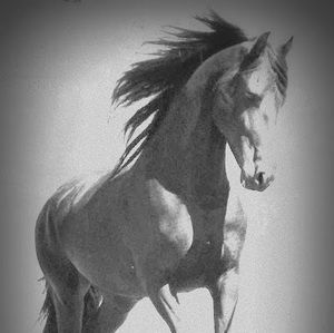 Meet your Posher, Christin